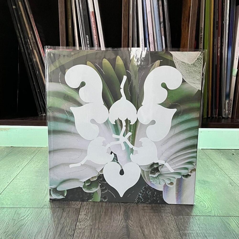 Björk and shygirl rsd vinyl